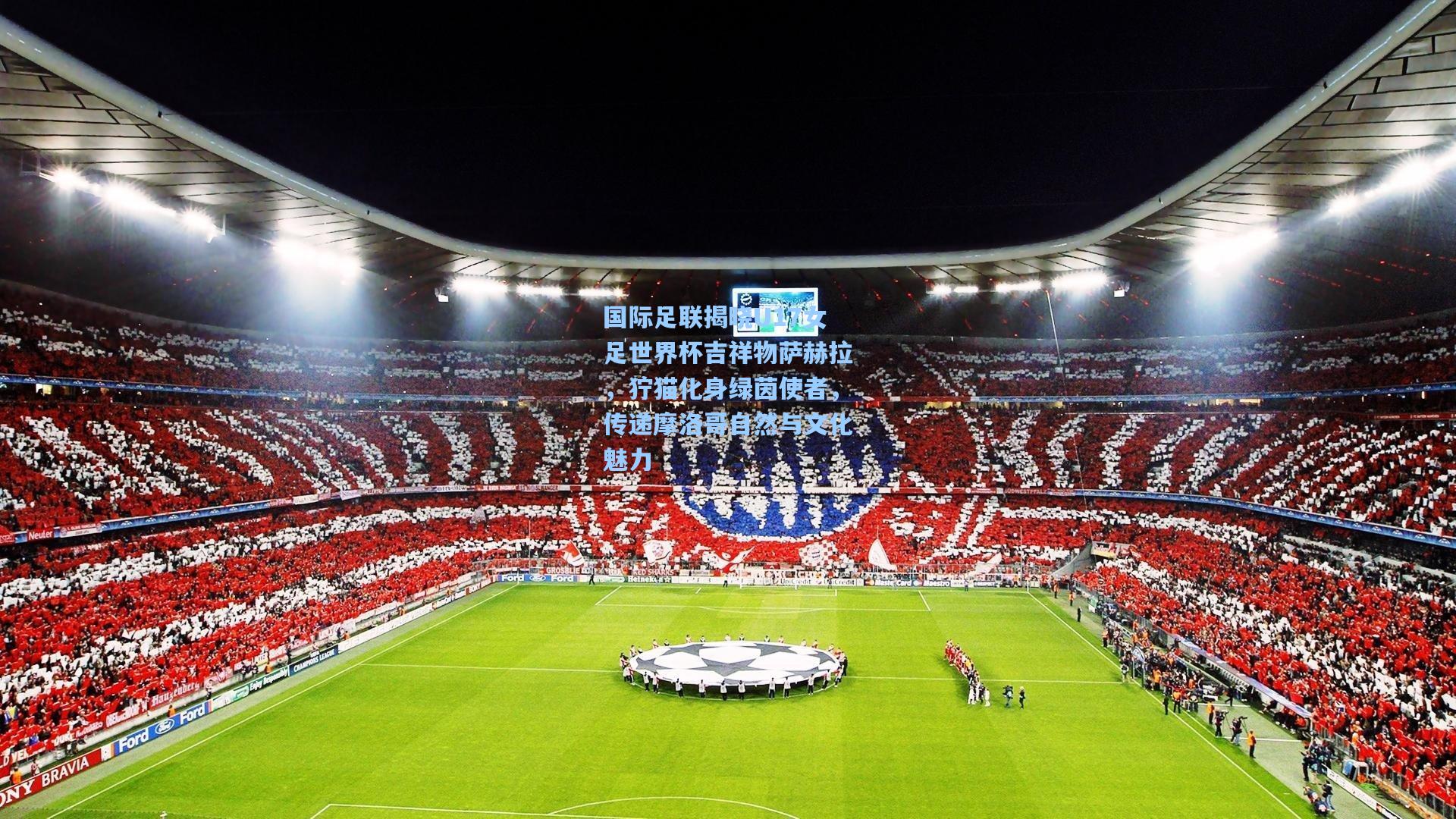 国际足联揭晓U17女足世界杯吉祥物萨赫拉，狞猫化身绿茵使者，传递摩洛哥自然与文化魅力