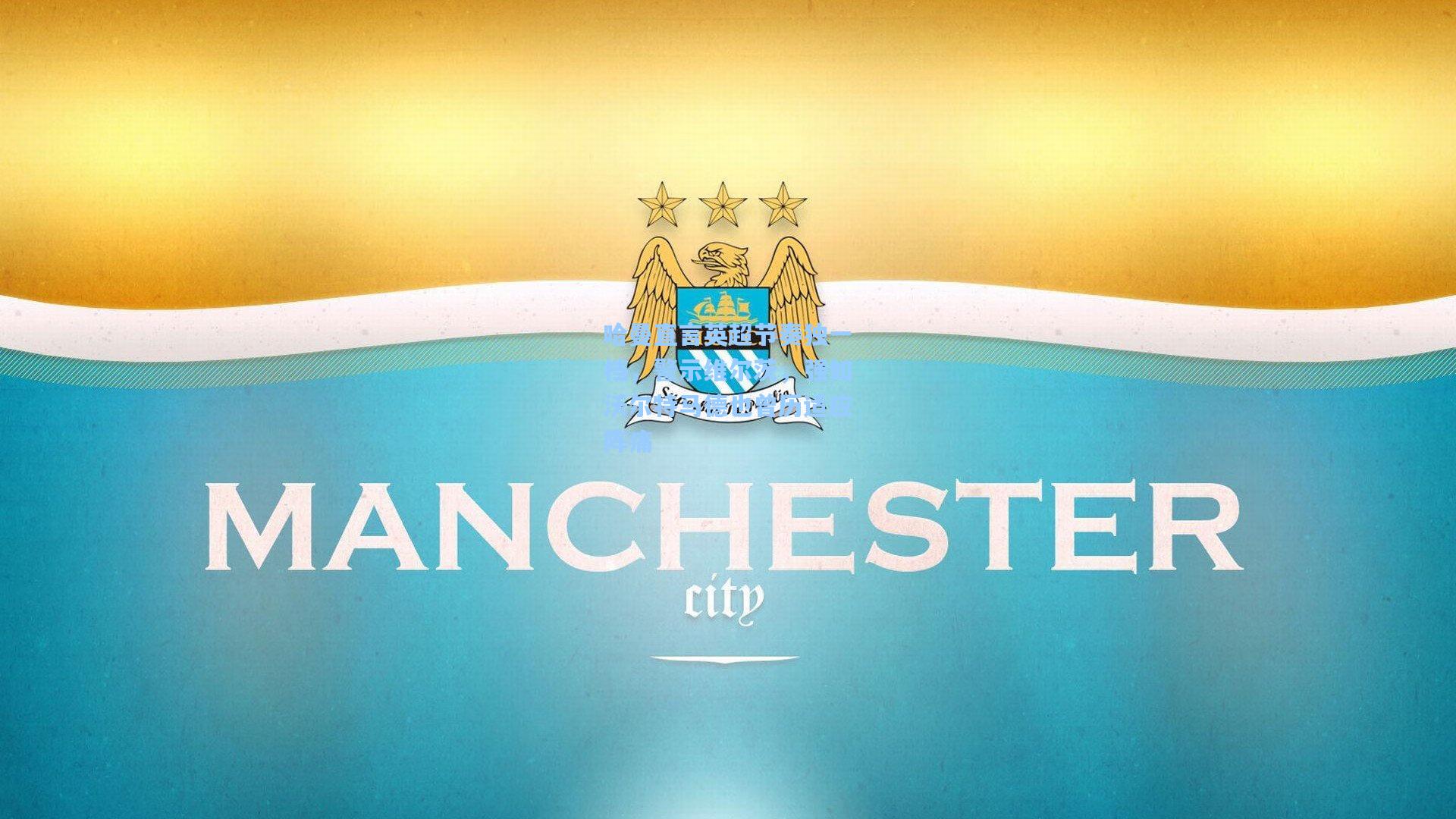 哈曼直言英超节奏独一档，警示维尔茨，强如沃尔特马德也曾历适应阵痛